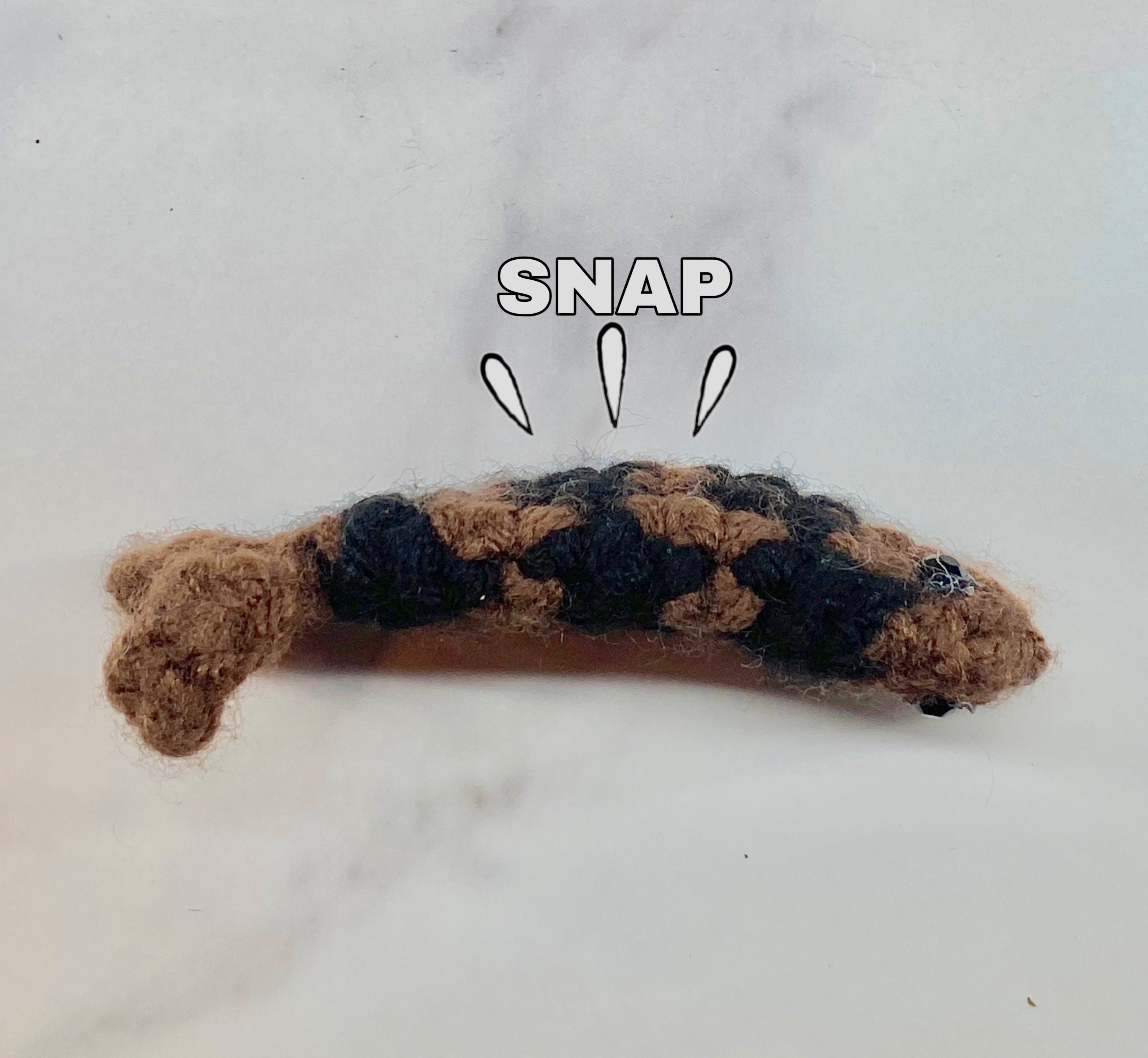 Brown Fidget Fish